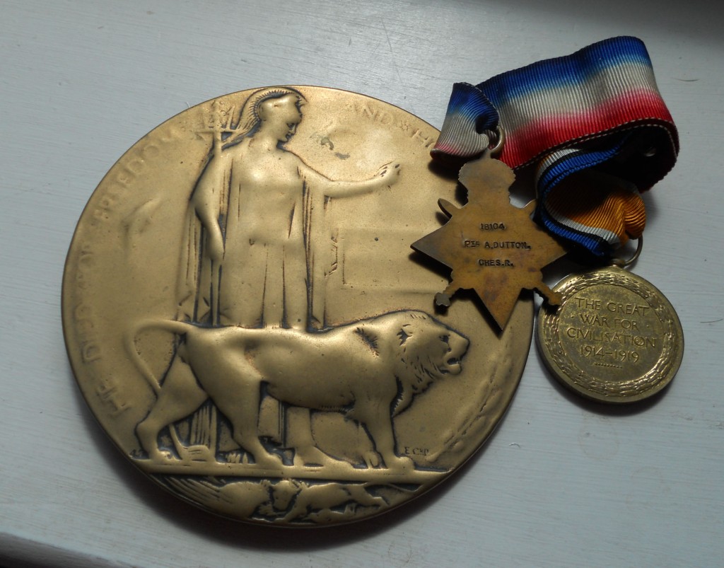 MedalsDSCN2969
